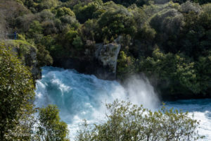 Taupo2