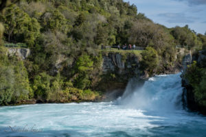 Taupo6