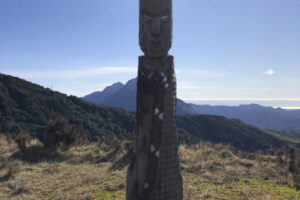 MountHikurangi26